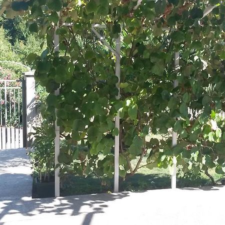Apartment Villa Dobrijevic -Seljanovo Tivat Eksteriør billede